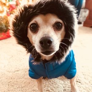 Meet your Posher, Becca